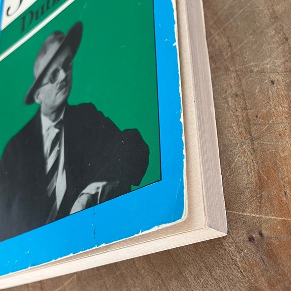 James Joyce Dubliners softcover - vintage 1984 reprint of original 1916 book - Picture 11 of 14